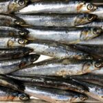 Omega-3 Supplements: A Strategy Against Psychosis Prevention