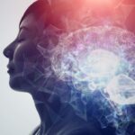 The Brain’s Role in Creating New and Preserving Old Memories